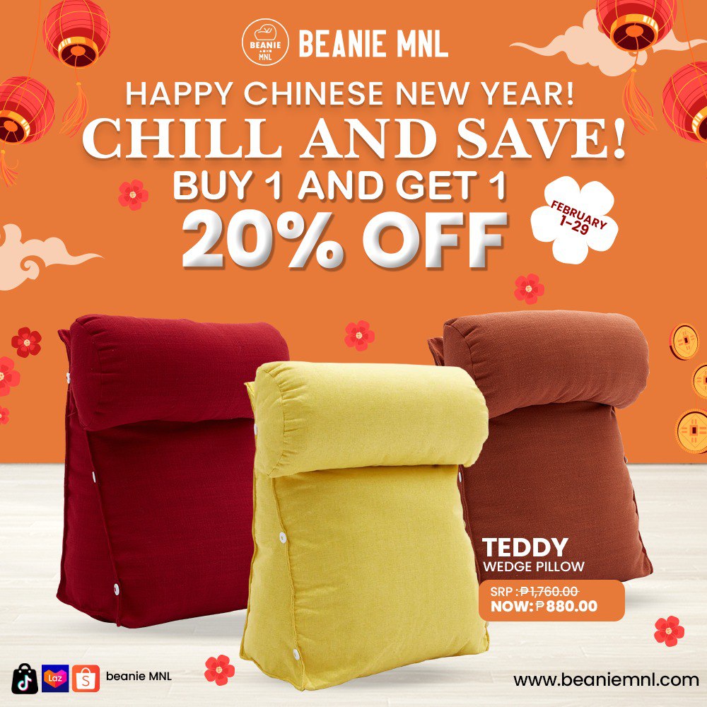 Buy 1 Take 1 20% OFF | Teddy Wedge Pillow Beanie MNL